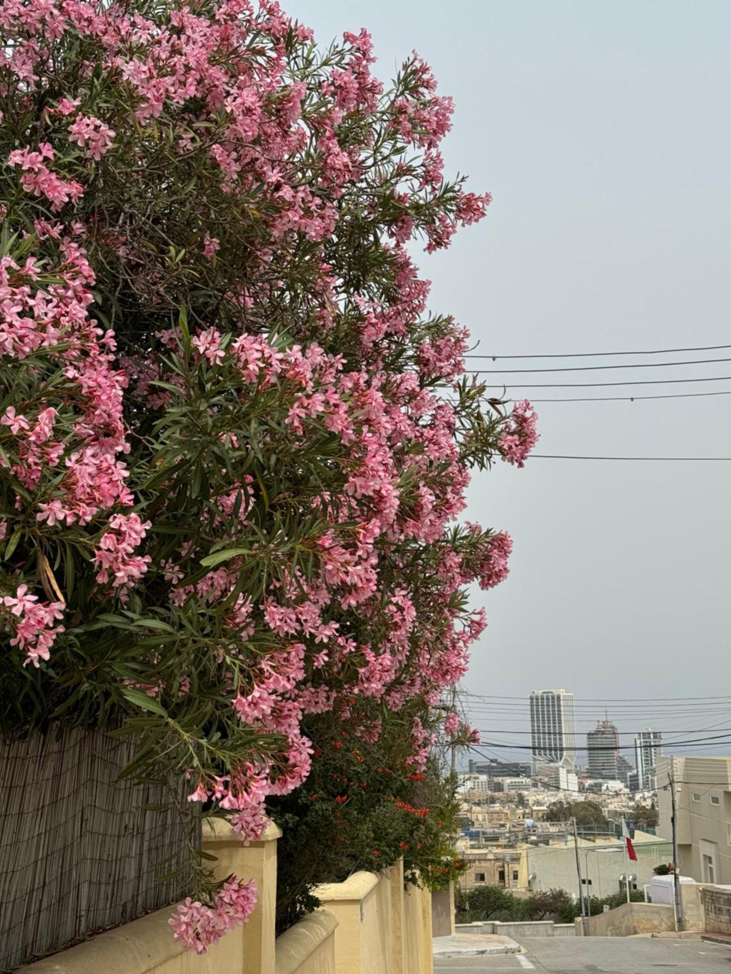 Villa Xiwan Is-Swieqi 外观 照片